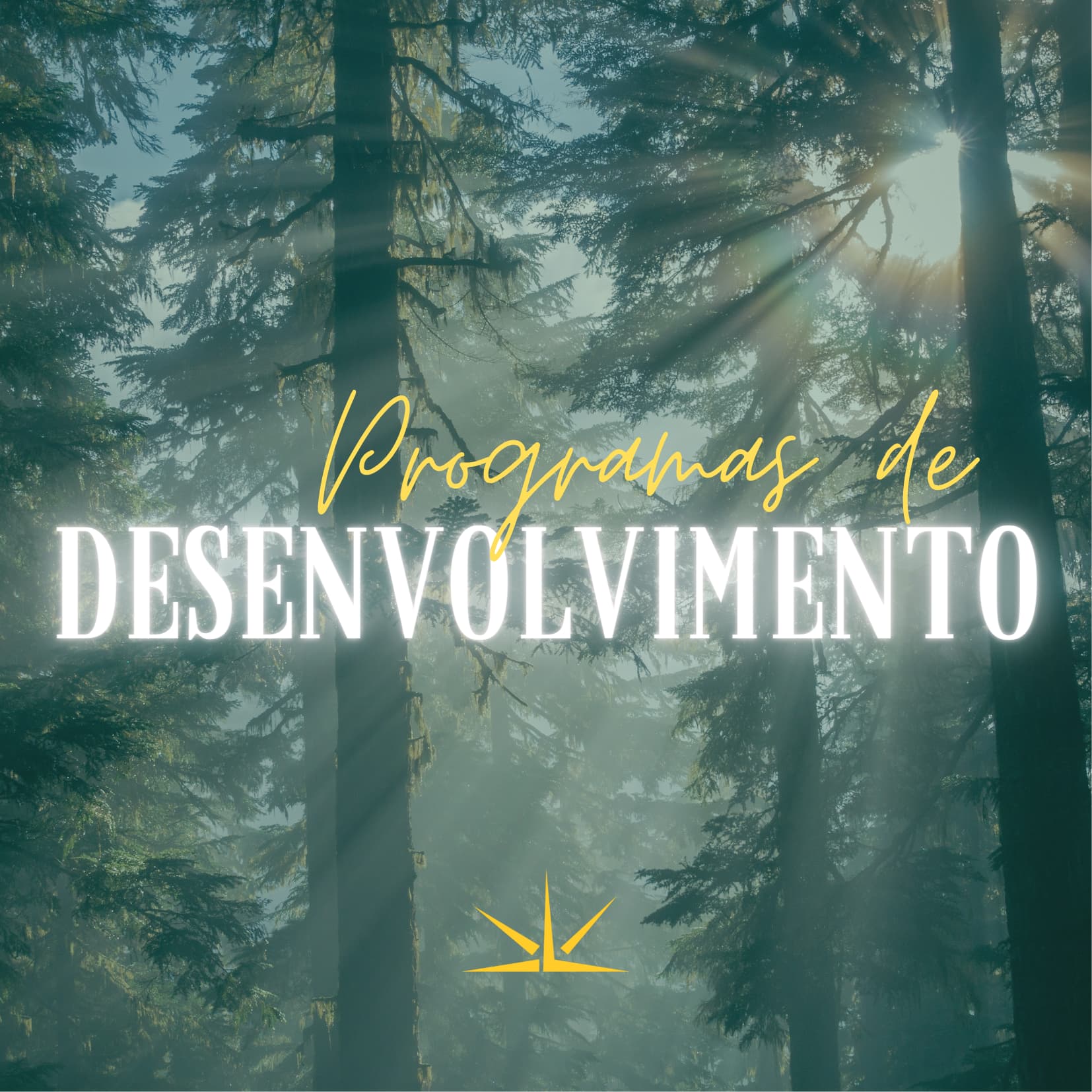 Programas de Desenvolvimento