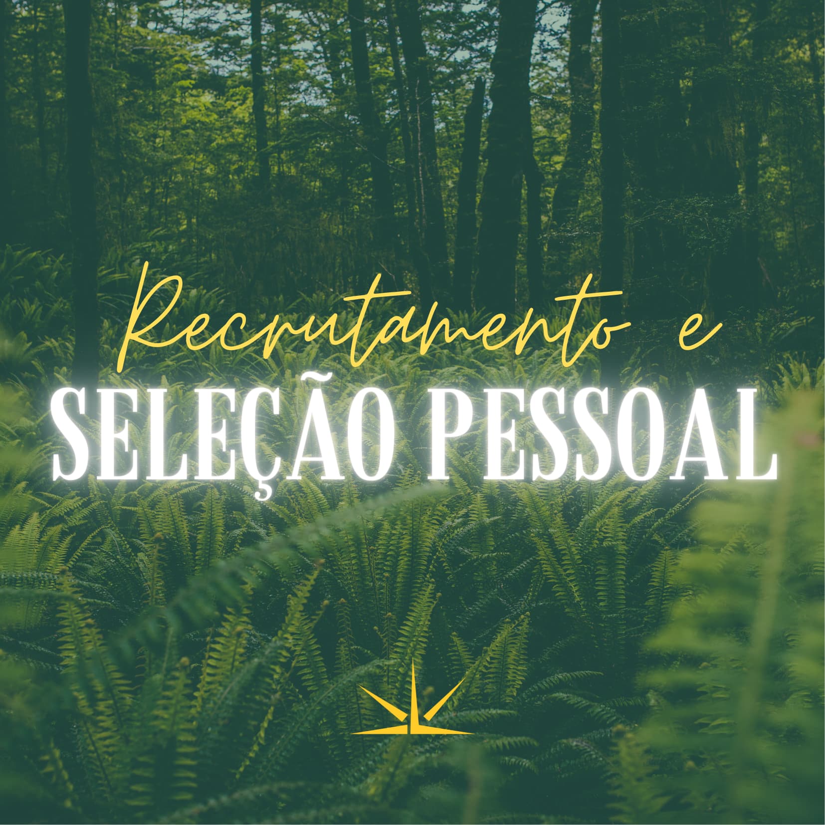 Recrutamento e Seleção Pessoal